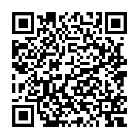 QR code for FT81156