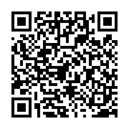 QR code for FT94038