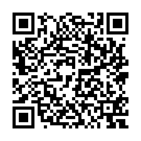 QR code for FV91117