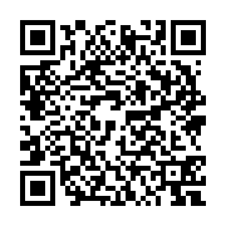 QR code for FV96306