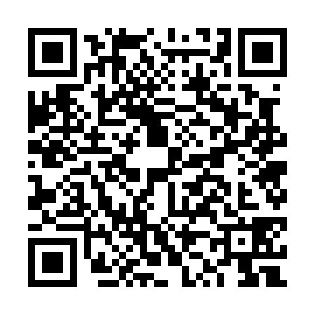 QR code for FZ70381
