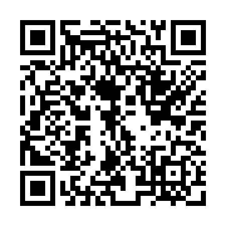 QR code for FZ83382