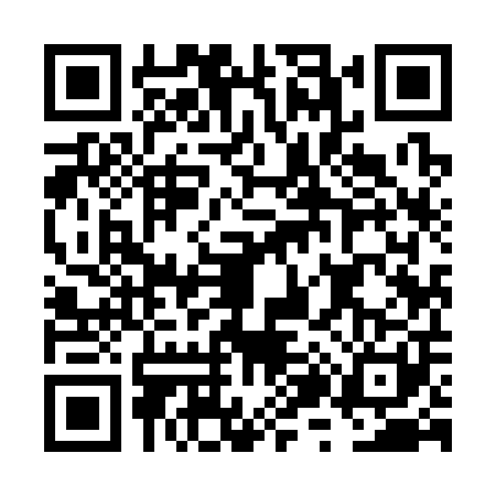 QR code for FZ93010