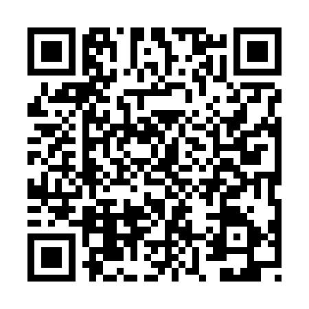 QR code for FZ96355