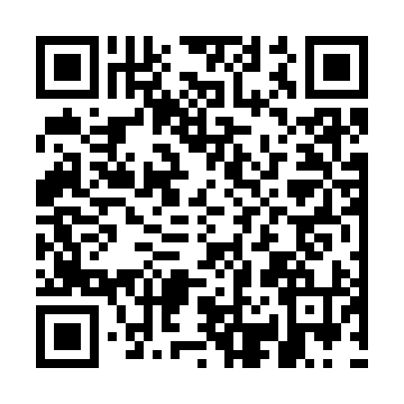 QR code for GB63941