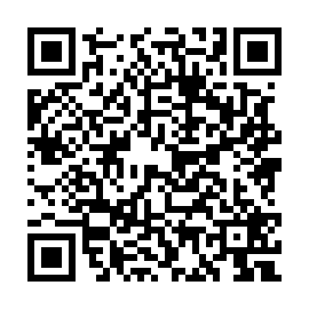 QR code for GG85295