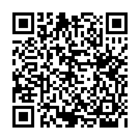 QR code for GG91738