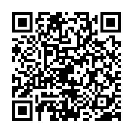 QR code for GI33393
