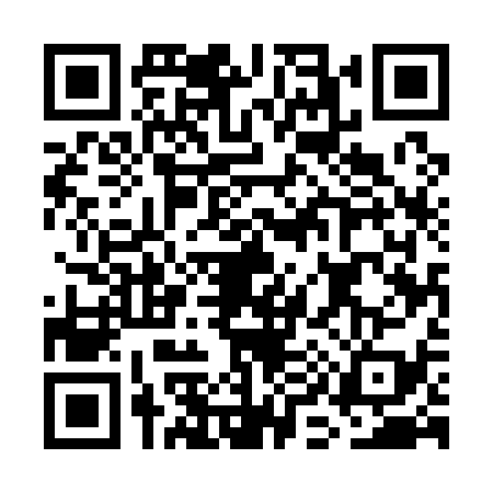 QR code for GI51390