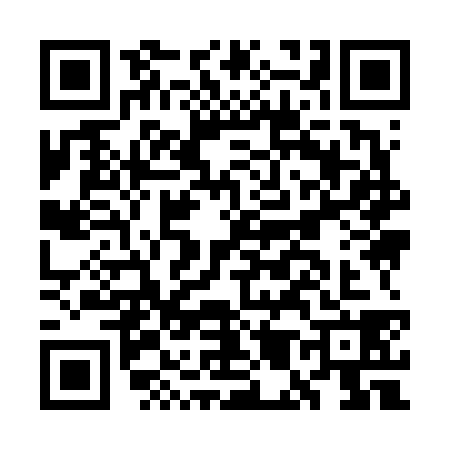QR code for GM96381