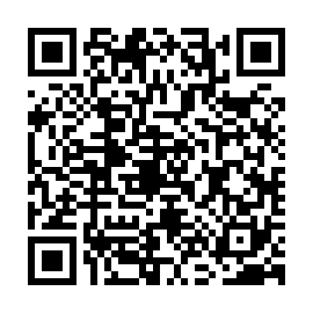 QR code for GN28705