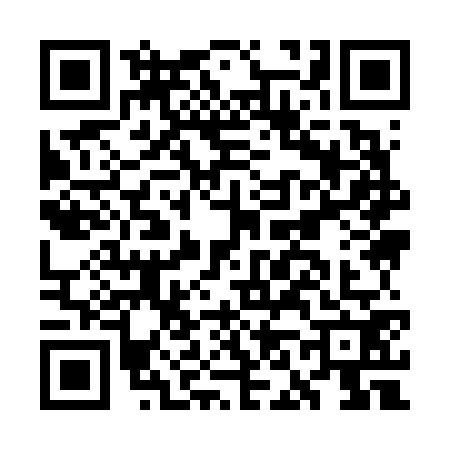 QR code for GN96729