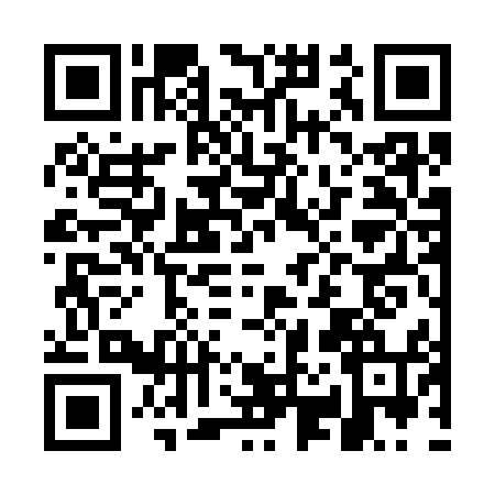 QR code for GR33541