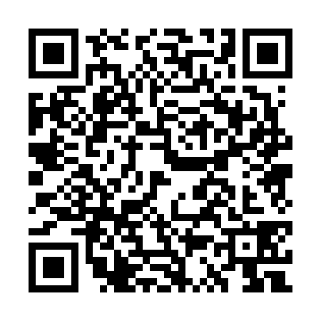 QR code for GS06384
