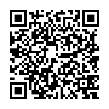QR code for GS08384