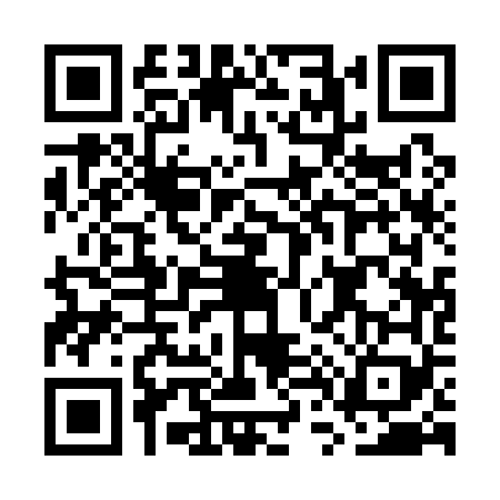 QR code for GT11699