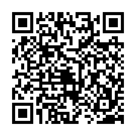 QR code for GT12165
