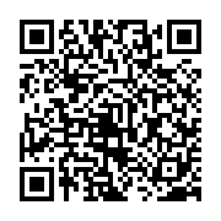 QR code for GT68513