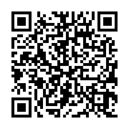 QR code for GT79229
