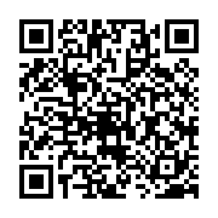 QR code for GT80304