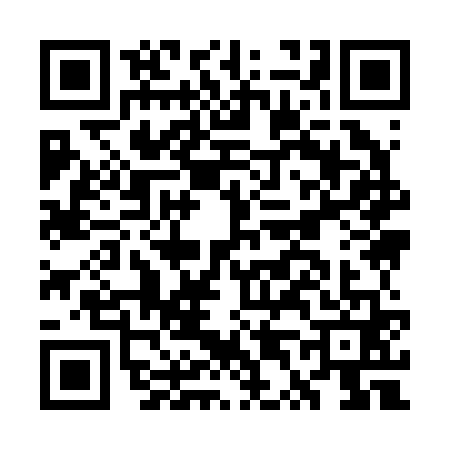 QR code for GT92613
