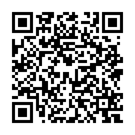 QR code for GT93258