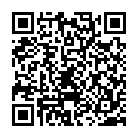 QR code for GX53165
