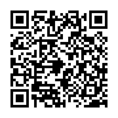 QR code for GY80507