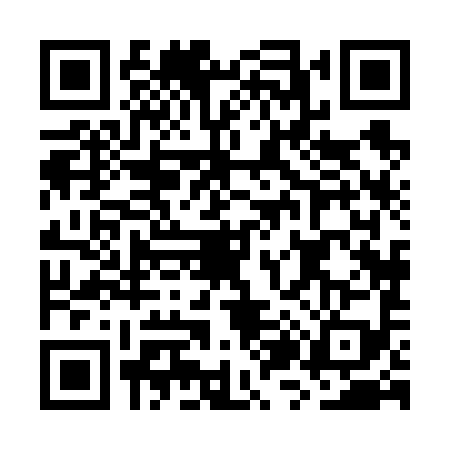 QR code for GZ86993