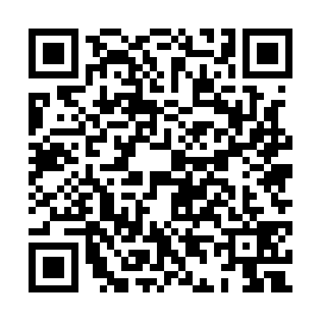 QR code for HD51395