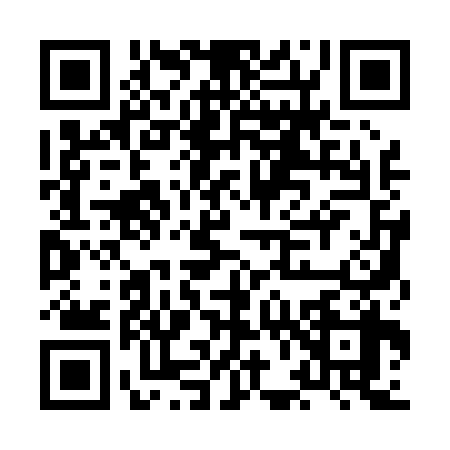 QR code for HF10383