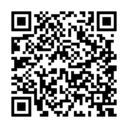 QR code for HG00411