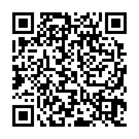 QR code for HG13207