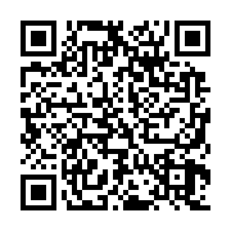 QR code for HG13289