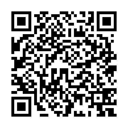 QR code for HG16394