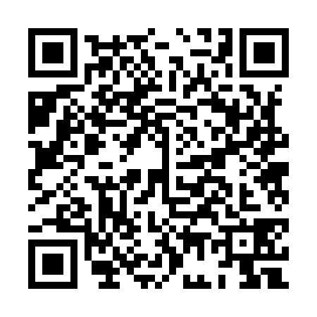QR code for HG29386