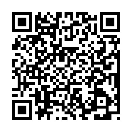 QR code for HG38176