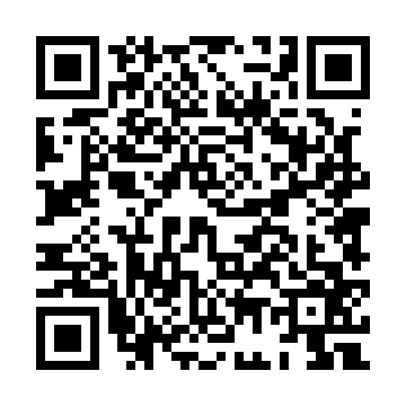 QR code for HG41666
