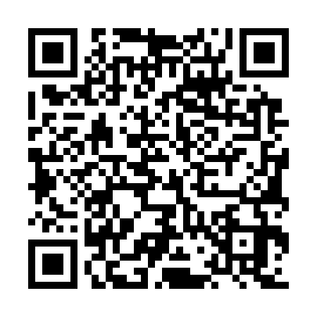 QR code for HG53339