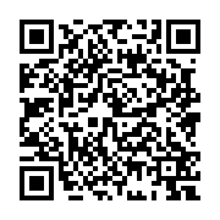 QR code for HG80234