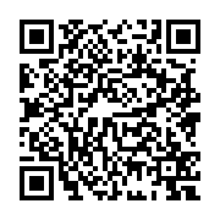 QR code for HG85370