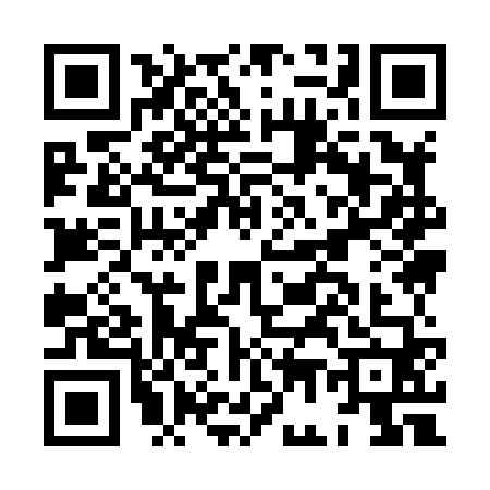 QR code for HG98603