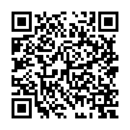 QR code for HG98666