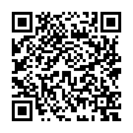 QR code for HG99377