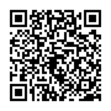QR code for HH17313