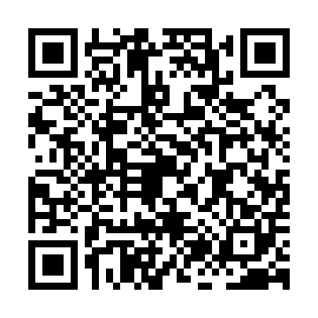 QR code for HJ11003