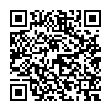 QR code for HL01038