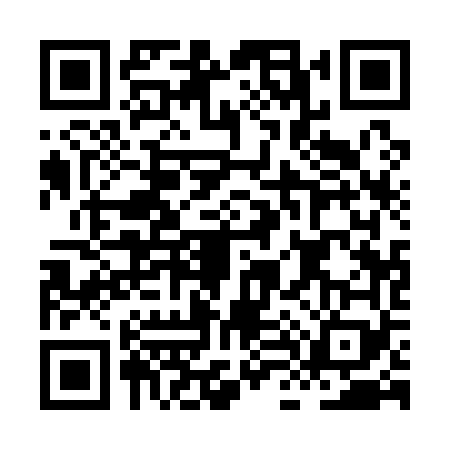 QR code for HL11694