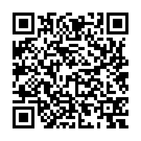 QR code for HL29347