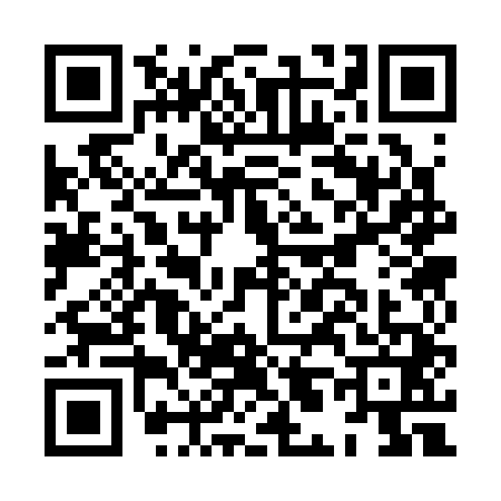 QR code for HL33416